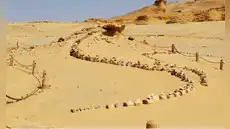 Uno de los lugares más misteriosos del planeta: arqueólogos descubrieron ballenas en el desierto