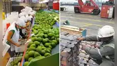 Exportaciones peruanas sumaron US$8.269 millones en septiembre: ¿qué sectores lideraron el crecimiento? Exportaciones peruanas sumaron US$8.269 millones en septiembre: ¿qué sectores lideraron el crecimiento?