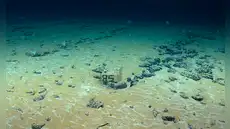 Hasta 45.000 toneladas al año: Europa revela el mayor tesoro energético en medio del océano Hasta 45.000 toneladas al año: Europa revela el mayor tesoro energético en medio del océano