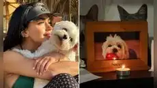Onelia Molina confiesa arrepentimiento tras sufrir dolorosa pérdida de su mascota: "Te extraño en cada parte de mi vida"