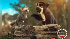 Proyectarán una función especial de ‘Milagros, una osa extraordinaria’ para público con discapacidad visual y auditiva