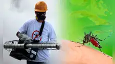 Cuba en alerta sanitaria por más de 47.000 casos de dengue y chikunguña detectados