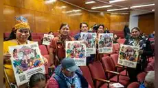 COP30: Perú llega con aumento récord de deforestación y líderes indígenas exigen participación