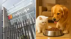 Indecopi sanciona a Nestlé Perú con más de S/600 mil por etiquetar productos para mascotas con información engañosa