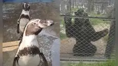 Congreso busca cerrar zoológicos sin garantizar destino para animales