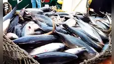 Sada Goray: Exdirector de Pesca niega pagos ilícitos