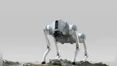 ¿Qué puede hacer el Go2, el perro robot que promete revolucionar la seguridad en el Perú?