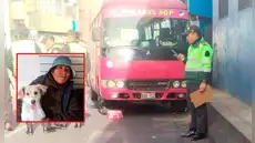 Mujer que rescataba animales pierde la vida tras ser atropellada en Arequipa