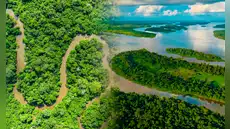 El río más profundo del mundo no es el Nilo ni el Amazonas: alcanza hasta 220 metros y alberga una fauna única