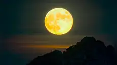 Calendario lunar de diciembre: cuándo se verá la última luna llena de 2025 y cuáles serán las fases lunares