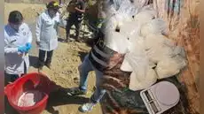 Arequipa: Policía desmantela laboratorio de PBC oculto en un predio rústico