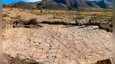 Descubren en Bolivia el mayor yacimiento de huellas de dinosaurios Descubren en Bolivia el mayor yacimiento de huellas de dinosaurios