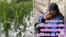 Adulta mayor rompe en llanto al ver cómo la granizada destruye su cultivo de maíz: "Así es la vida del agricultor"