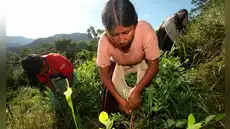 Sembrío de coca en Bolivia crece un 10% en 2024 y el gobierno de Paz culpa a la “permisividad de la izquierda” Sembrío de coca en Bolivia crece un 10% en 2024 y el gobierno de Paz culpa a la “permisividad de la izquierda”