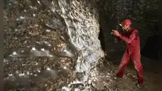 Tiene una extensión de 106 metros cuadrados, abarca dos países de Europa y es el hogar de más de 111.000 arañas