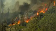 Incendios forestales en Áncash se disparan: emergencias aumentan de 3 a 28 en diciembre, con varias víctimas y graves daños ambientales