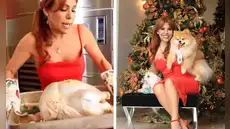 Magaly Medina hace mea culpa por su polémico pavo navideño: “Una receta que no conocía"