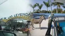 Parque de las Leyendas anuncia ingreso gratis en enero 2026: ¿quiénes tienen pase libre?