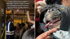 Joven aborda bus del Metropolitano con su perro e inspectora hace bajar a todos los pasajeros: "Era el último bus en plena Navidad"