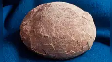 Científicos chinos abrieron un huevo de dinosaurio en busca de un embrión, pero descubrieron un tesoro brillante de 70 millones de años