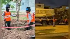 Vecinos del Callao protestan por retiro de árboles para obras de Vía Expresa Santa Rosa
