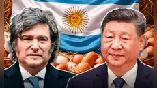 Argentina rompe el récord y se convierte en el primer consumidor de huevos en el mundo junto a China: casi 400 por persona Argentina rompe el récord y se convierte en el primer consumidor de huevos en el mundo junto a China: casi 400 por persona