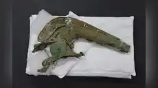 Descubren un tesoro muy raro de la Edad del Hierro en Europa: “Es algo con lo que uno sueña como arqueólogo"