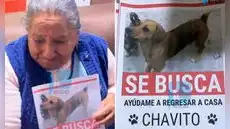 Adulta mayor invidente en Arequipa busca a ‘Chavito’, su perro que se perdió tras ser atropellado: “Si pudiera saldría a buscarlo”