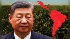 China supera a EE. UU. y realiza su primera compra histórica de 30.000 toneladas de harina