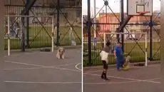 El sorprendente arquero de cuatro patas que deslumbró en un partido de fútbol entre amigos en Argentina