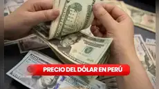 Precio del dólar hoy, sábado 24 de enero de 2025,  en casas de cambios, bancos y otros canales