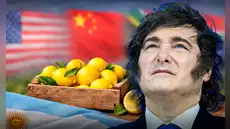 Argentina logra ser superado por este país en las mayores exportaciones de limones a potencias del mundo, como EE.UU. y China