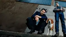 Crimen y fútbol: la serie “Perros de Berlín”