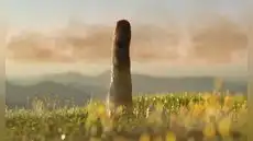 Ni animal ni vegetal: descubren un ser vivo de 8 metros que vivió hace 420 millones de años y no pertenece a ningún reino conocido