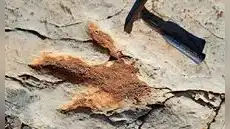 La inteligencia artificial entra en la paleontología y ayuda a resolver uno de los grandes misterios sobre los dinosaurios La inteligencia artificial entra en la paleontología y ayuda a resolver uno de los grandes misterios sobre los dinosaurios