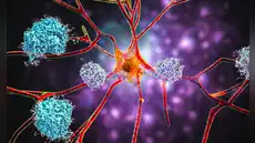 Científicos de Harvard confirman que el litio podría tener un papel crucial en la prevención y posible reversión del Alzheimer