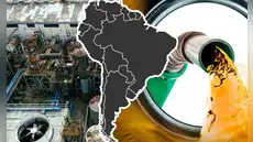 Científicos revolucionan la sostenibilidad de este país de América Latina y convierten lo inesperado en combustible líquido