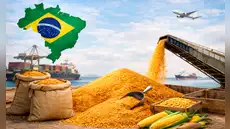 Brasil alista histórica exportación a China de este producto altamente codiciado por Estados Unidos y Japón