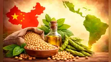 País de América Latina sufre fuertes sequías y pone en riesgo futuras ventas de un cultivo muy deseado por China