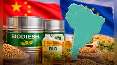 Europa toma una dura decisión que amenaza las exportaciones de soja de este país de América Latina, el histórico vendedor de China