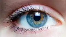 Científicos descubren que una bacteria común en los ojos estaría relacionada con el avance del Alzheimer y demencia