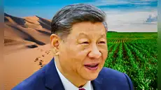 China rompe el mito y convierte el desierto en tierra fértil para cultivo con organismos de hace 3.500 millones de años