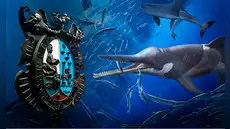 Científicos sanmarquinos hacen un descubrimiento asombroso: hallan una nueva especie marina fósil de hace 8 millones de años en Ica