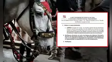 MML debe cancelar uso de caballos para paseos en carruaje tras sentencia de PJ