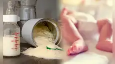 Fórmulas infantiles bajo la lupa por composición y falta de vigilancia estatal