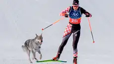 Perro lobo irrumpió en los Juegos Olímpicos 2026: burló los dispositivos de seguridad y cruzó la meta
