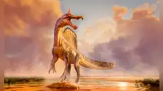 Un descubrimiento “maravilloso” en el Sáhara: una nueva especie de dinosaurio de 13 metros con una cresta de colores