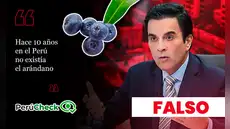 ¿Hace diez años no existían los arándanos? Es falso lo que dijo el candidato Carlos Espá