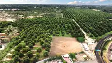 Violencia y tráfico tierras: los principales problemas que enfrentan los iqueños