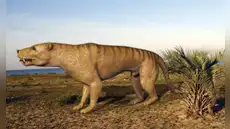 Hallazgo sorprendente reescribe la historia de un fósil de 247 millones de años descubierto en 1952